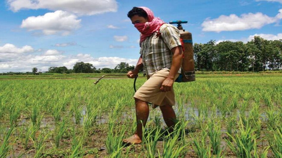 Crop protection measures key to doubling farmers' income: Ficci study Crop protection measures key to doubling farmers' income: Ficci study