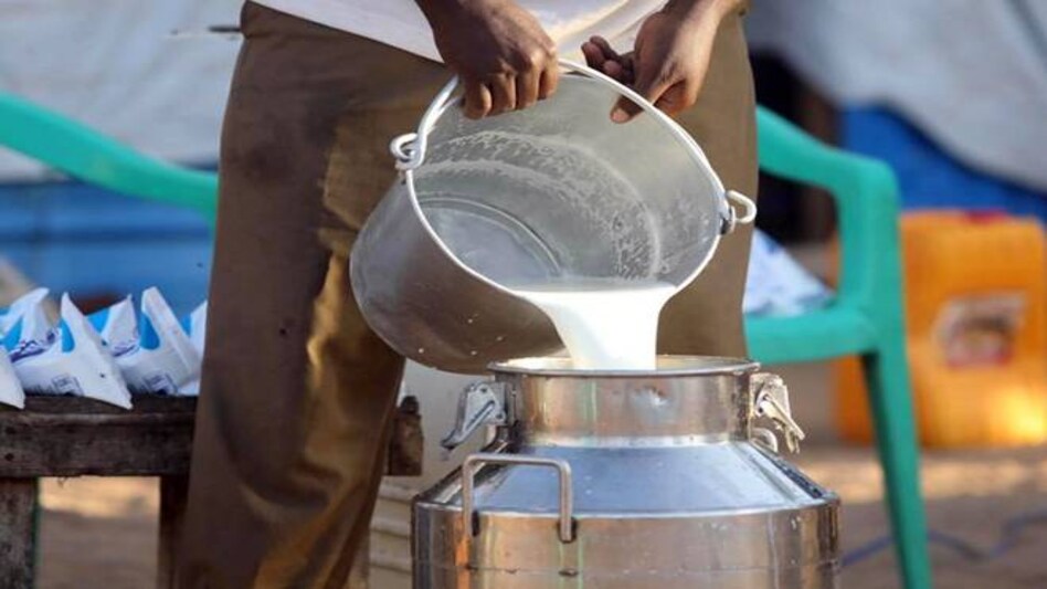 Light, camera, action in the dairy industry Light, camera, action in the dairy industry