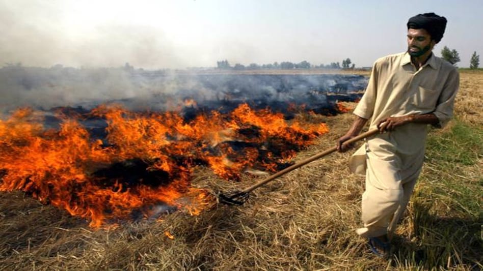 Insight: The burning truth - as farmers set fire to fields, Delhi braces for choking smog Insight: The burning truth - as farmers set fire to fields, Delhi braces for choking smog