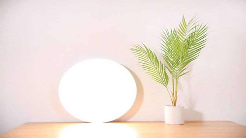 PC: Yeelight/Facebook PC: Yeelight/Facebook