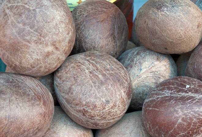 CCEA approves Rs 2,000 hike in MSP for copra in 2019 season