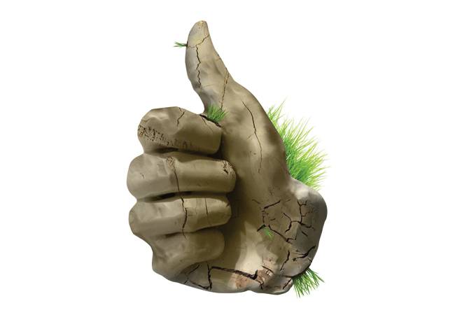 Illustration by Raj Verma Illustration by Raj Verma