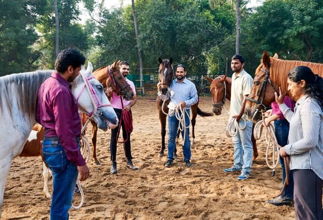 Can horses teach you leadership?