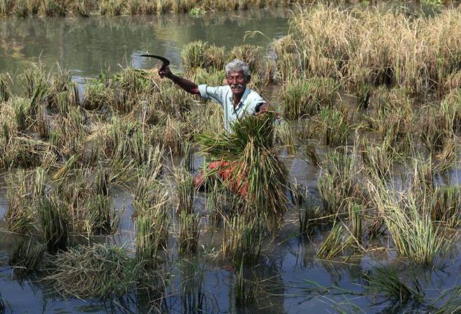 Digital platform helps Maharashtra save Rs 12,000 crore in farm loan waiver: CM Fadnavis Digital platform helps Maharashtra save Rs 12,000 crore in farm loan waiver: CM Fadnavis