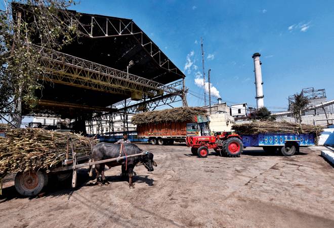 The Triveni Ltd. sugar mill in western Uttar Pradesh; Photograph by Shekhar Ghosh The Triveni Ltd. sugar mill in western Uttar Pradesh; Photograph by Shekhar Ghosh