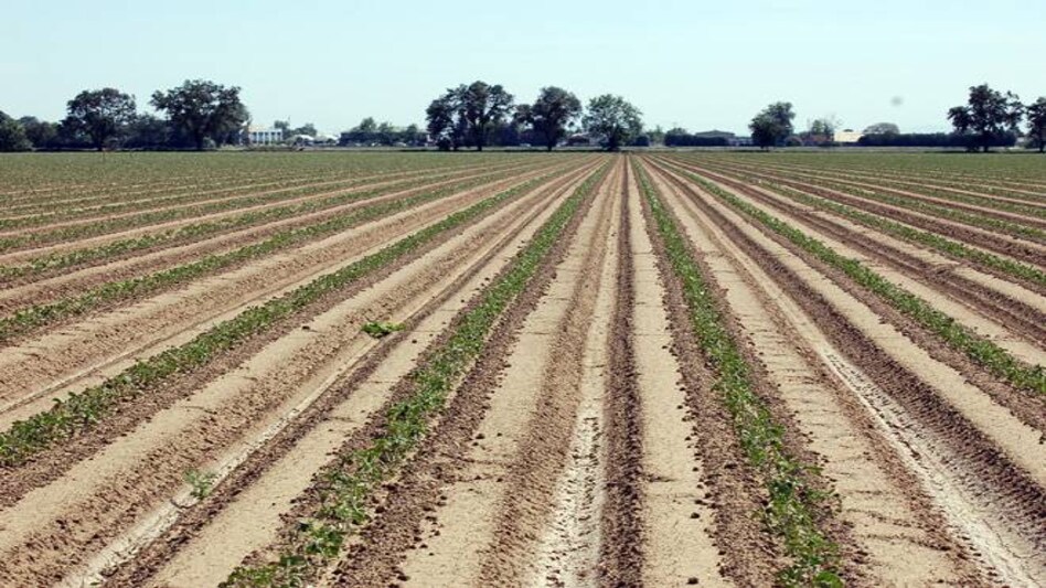 Maha to draw Rs 2K cr from contingency fund to tackle drought Maha to draw Rs 2K cr from contingency fund to tackle drought