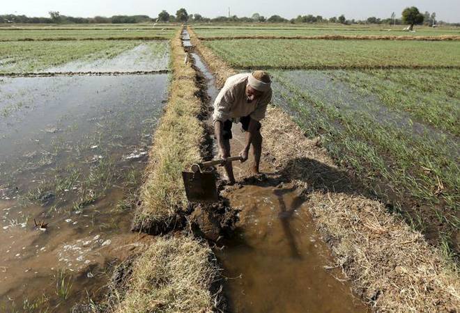 Budget 2019: Modi govt's new scheme offers Rs 6,000 directly into farmers' bank accounts Budget 2019: Modi govt's new scheme offers Rs 6,000 directly into farmers' bank accounts