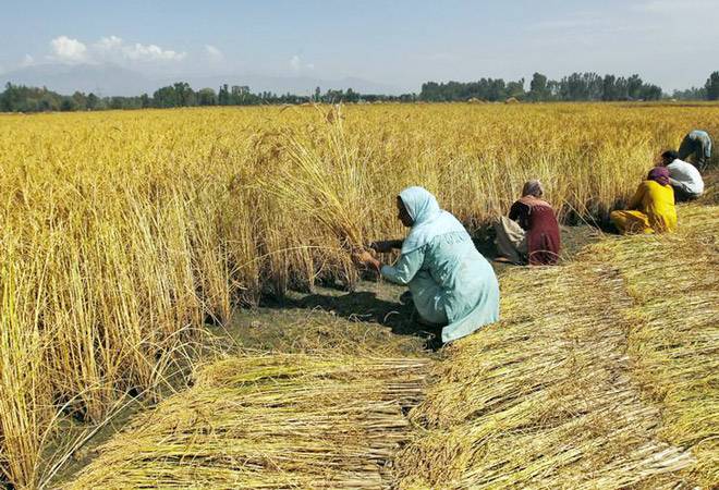 Govt moves ahead on direct income support, plans to disburse first instalment by March 31 Govt moves ahead on direct income support, plans to disburse first instalment by March 31