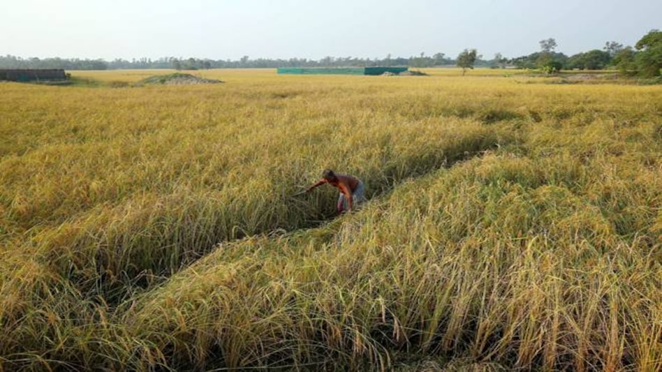 Andhra Pradesh merges PM-Kisan with Annadatha Sukhibhava, promises Rs 10,000 to all farmers Andhra Pradesh merges PM-Kisan with Annadatha Sukhibhava, promises Rs 10,000 to all farmers