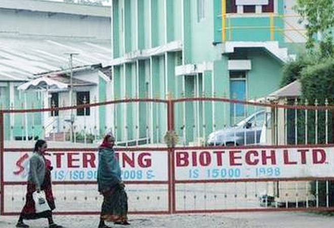 Sterling Biotech case: Hitesh Patel nabbed in Albania over Rs 8,100 crore fraud