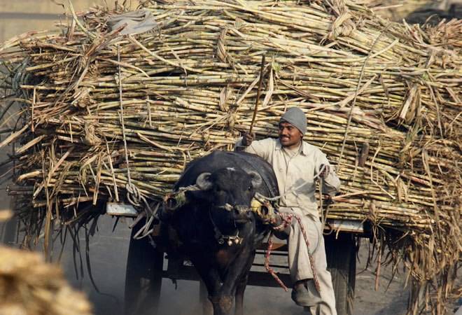 Govt approves up to Rs 10,540 crore soft loan to sugar industry to pay farmers' dues Govt approves up to Rs 10,540 crore soft loan to sugar industry to pay farmers' dues