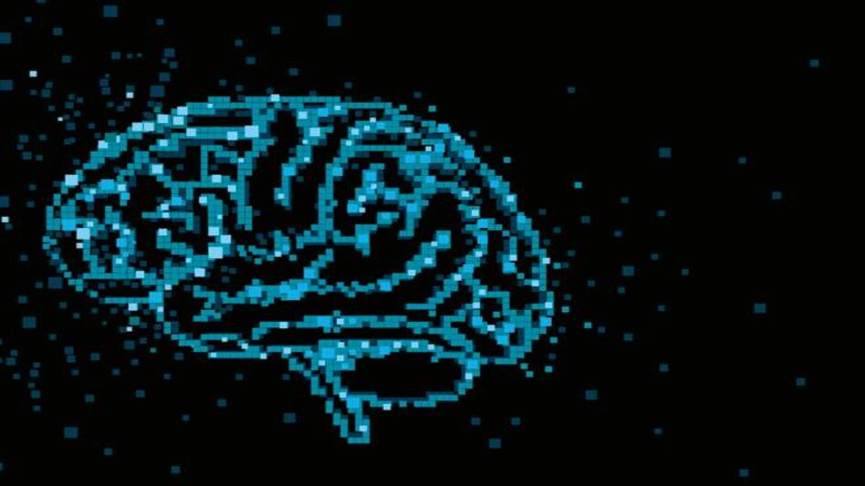 Illustration by Raj Verma Illustration by Raj Verma