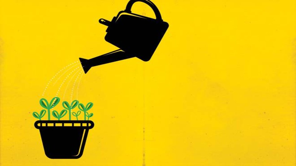 Illustration by Ajay Thakuri Illustration by Ajay Thakuri