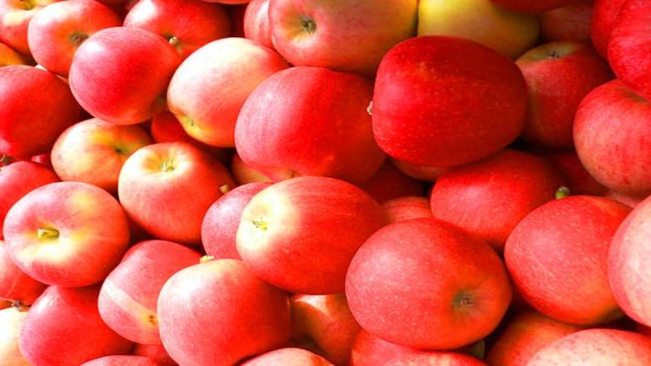 India imported a record 7.8 million 40-pound boxes of the fine quality 2017 Washington state apple crop as of mid-June last year. Representational image. India imported a record 7.8 million 40-pound boxes of the fine quality 2017 Washington state apple crop as of mid-June last year. Representational image.
