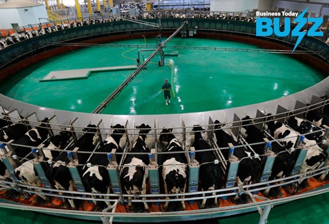 The Rs 100,000 crore organised Indian dairy industry is something that global dairy giants are finding impossible to ignore. The Rs 100,000 crore organised Indian dairy industry is something that global dairy giants are finding impossible to ignore.