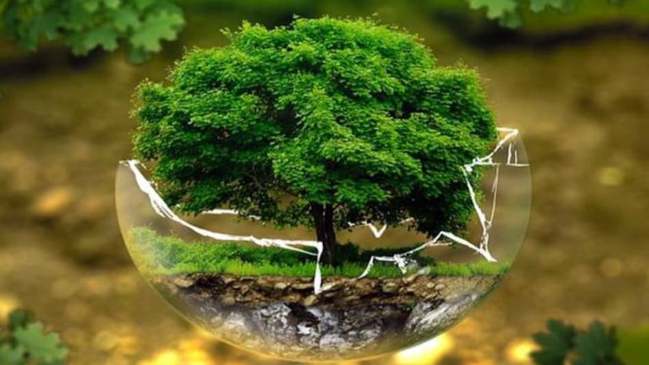 Ozone level in Delhi exceeded the standard average for 16 per cent of the days Ozone level in Delhi exceeded the standard average for 16 per cent of the days