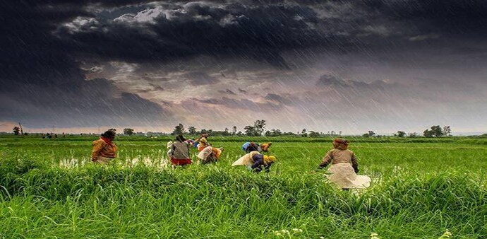 Kerala weather: Monsoon hit the coast of Kerala on Saturday Kerala weather: Monsoon hit the coast of Kerala on Saturday