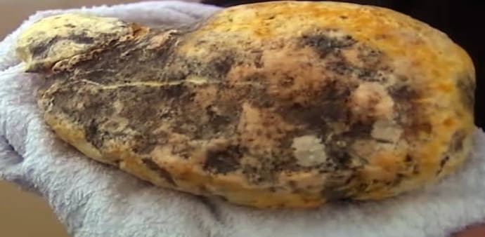 Mumbai police has arrested a 53-year-old man in possession of 1.3 kg of extremely rare Ambergris (whale puke) worth Rs 1.7 crore. Mumbai police has arrested a 53-year-old man in possession of 1.3 kg of extremely rare Ambergris (whale puke) worth Rs 1.7 crore.
