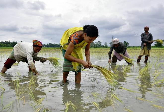 Nearly half of India's farmland lacks irrigation and planting usually lasts until July.