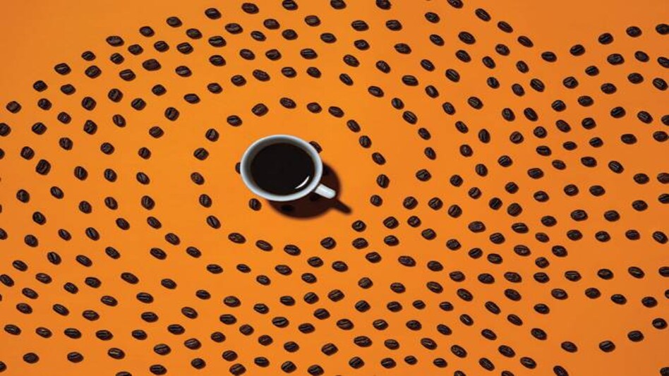 Photograph by Reuben Singh Photograph by Reuben Singh