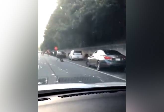 It's raining money! People go berserk as truck carrying Rs 1.19 crore spills cash on the US road; watch video