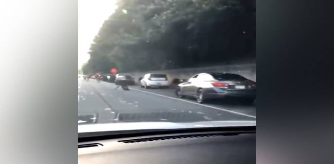 Over 15 vehicles had stopped at the location and people were frantically picking up the scattered notes. Over 15 vehicles had stopped at the location and people were frantically picking up the scattered notes.