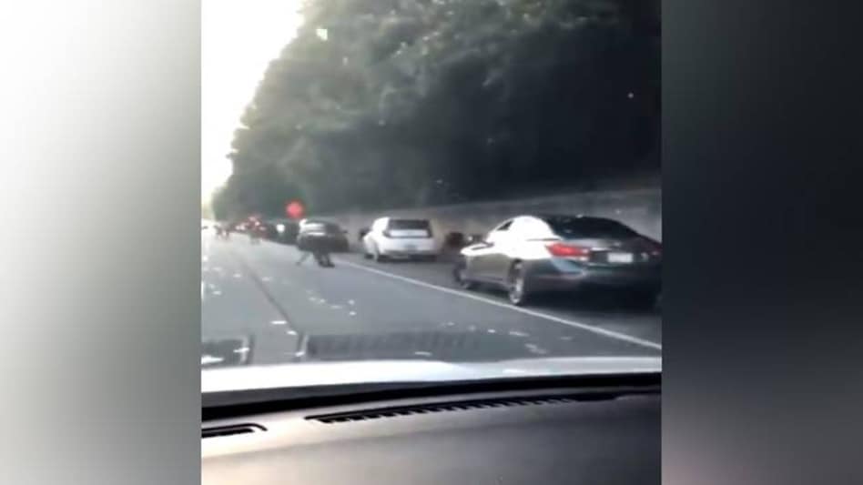 Over 15 vehicles had stopped at the location and people were frantically picking up the scattered notes. Over 15 vehicles had stopped at the location and people were frantically picking up the scattered notes.