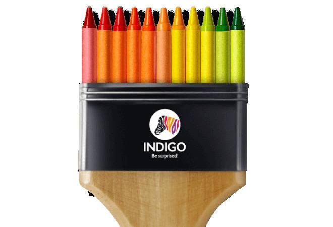 Indigo Paints plans IPO of Rs 800-1,000 crore by next year Indigo Paints plans IPO of Rs 800-1,000 crore by next year