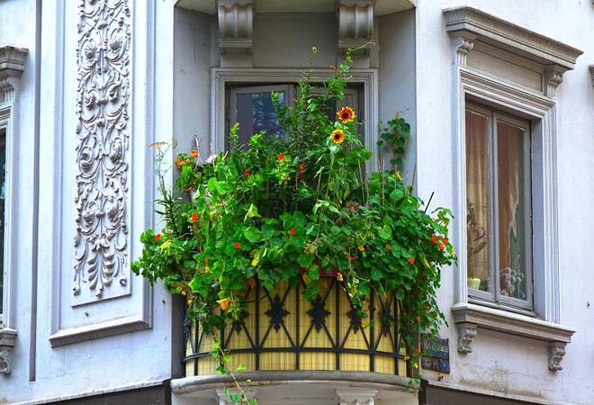 Model tenancy law could boost rental housing, say experts Model tenancy law could boost rental housing, say experts