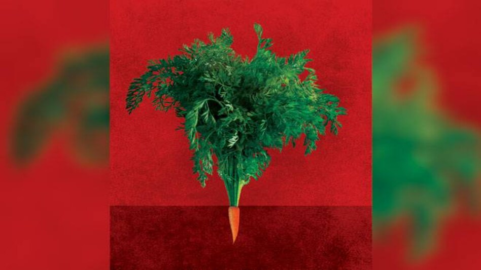 Illustration by Raj Verma Illustration by Raj Verma