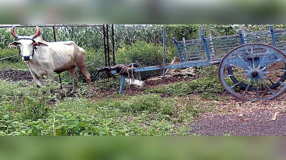 In August, the government passed Motor Vehicles (Amendment) Bill, 2019 to tighten road traffic regulations and imposed stricter penalties for violations in an attempt to improve road safety In August, the government passed Motor Vehicles (Amendment) Bill, 2019 to tighten road traffic regulations and imposed stricter penalties for violations in an attempt to improve road safety