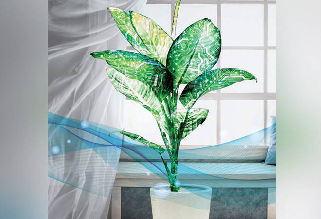 Illustration by Raj Verma Illustration by Raj Verma