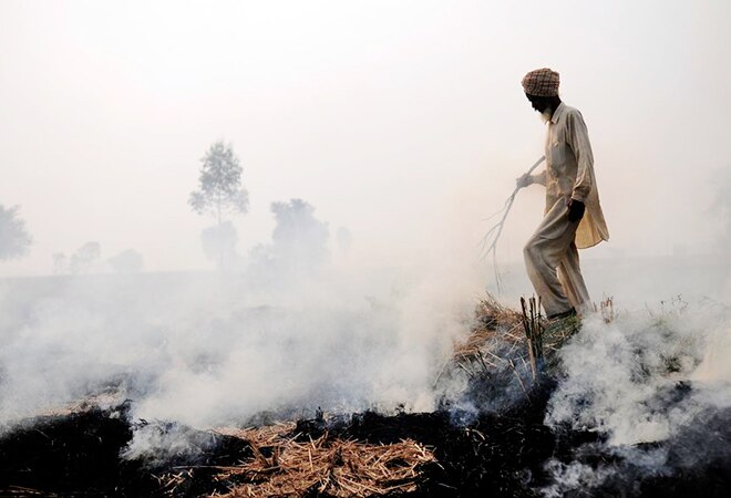 Delhi air pollution: Stubble burning incidents increase near capital Delhi air pollution: Stubble burning incidents increase near capital