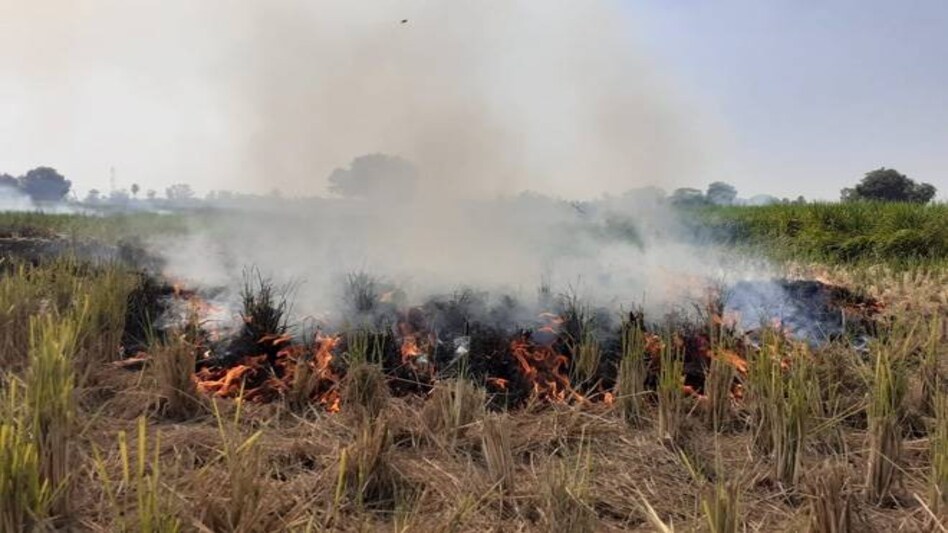 Fields of fire drive Delhi's air quality to unhealthy levels Fields of fire drive Delhi's air quality to unhealthy levels