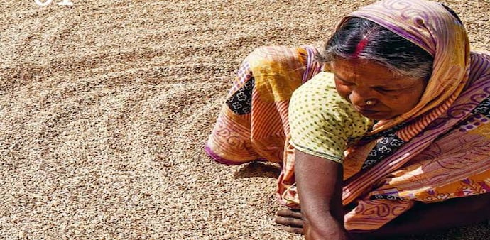 India is among 45 countries that have serious levels of hunger. India is among 45 countries that have serious levels of hunger.