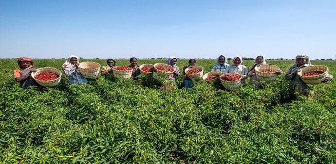 The date has been extended to help farmers ahead of rabi (winter) sowing, said Prakash Javadekar. The date has been extended to help farmers ahead of rabi (winter) sowing, said Prakash Javadekar.