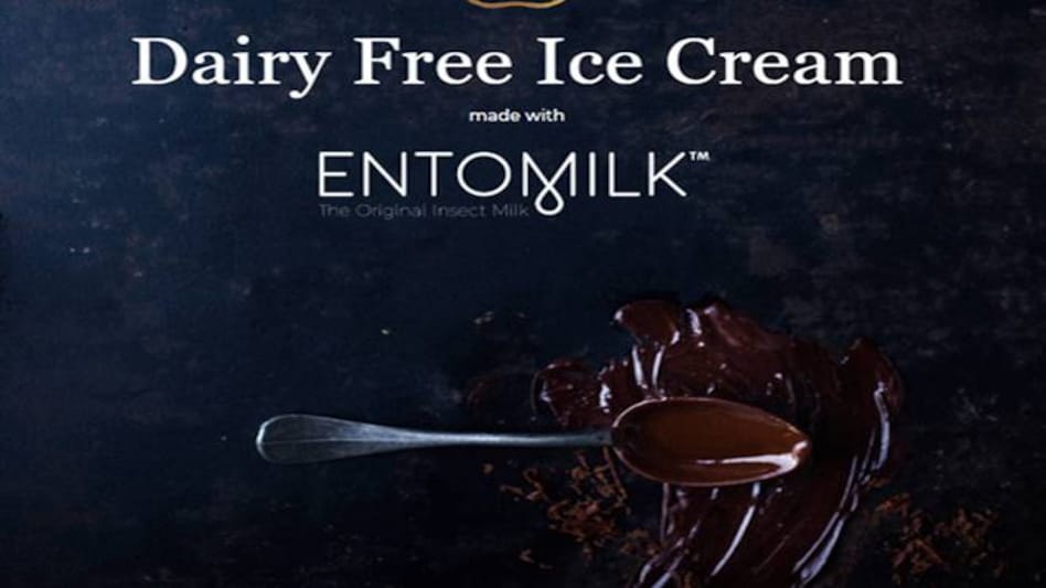 So far 1,900 insect species are consumed by humans worldwide. So far 1,900 insect species are consumed by humans worldwide.