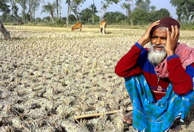 PSB's Gross Non-Performing Assets in agriculture sector surpass Rs 1 lakh crore mark: RBI data