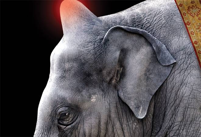 Graphic by Tanmoy Chakraborty Graphic by Tanmoy Chakraborty