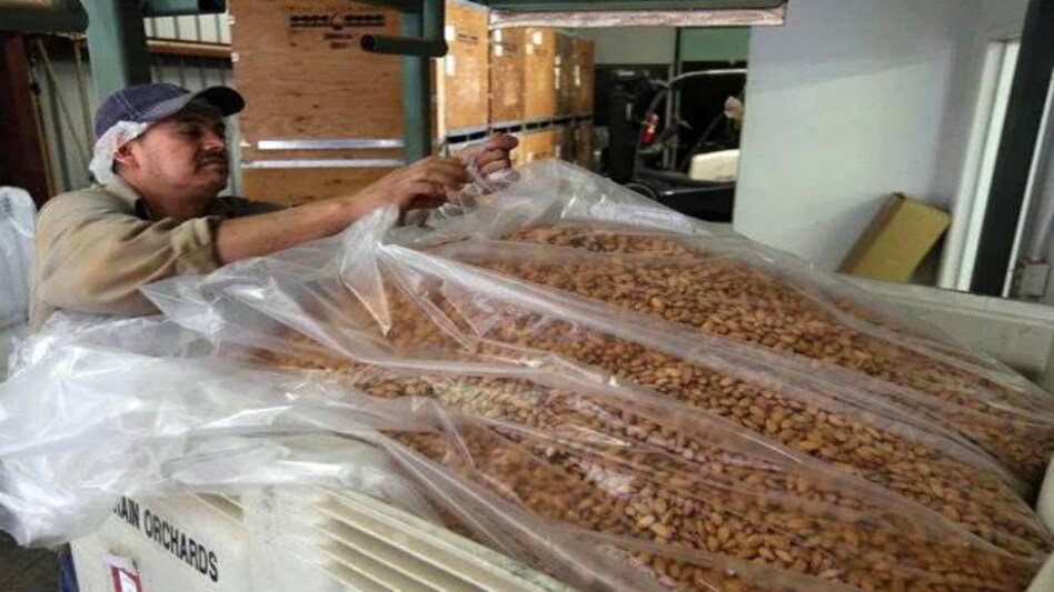 India imposed retaliatory tariffs on 28 US products, including walnuts, almonds and apples from June 5, after the Trump administration terminated its preferential trade privileges under the GSP programme India imposed retaliatory tariffs on 28 US products, including walnuts, almonds and apples from June 5, after the Trump administration terminated its preferential trade privileges under the GSP programme