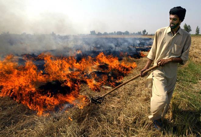 NASA recently released satellite images that showed a dramatic increase in stubble burning in Punjab and Haryana. NASA recently released satellite images that showed a dramatic increase in stubble burning in Punjab and Haryana.
