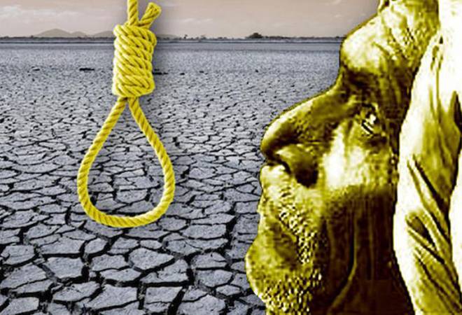 The NCRB report, however, did not reveal the reasons for the said farmer suicides The NCRB report, however, did not reveal the reasons for the said farmer suicides