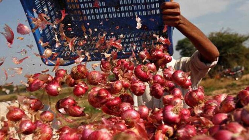Wholesale onion prices are about 40 rupees per kg, down slightly from 55 rupees earlier this month (Image/Reuters) Wholesale onion prices are about 40 rupees per kg, down slightly from 55 rupees earlier this month (Image/Reuters)