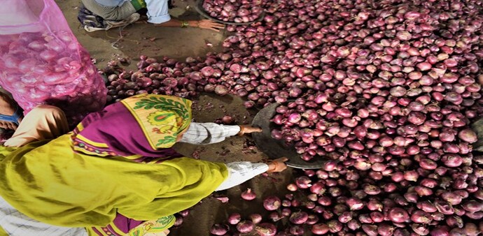 Supply constraints have sent onion prices to a four-year high Supply constraints have sent onion prices to a four-year high