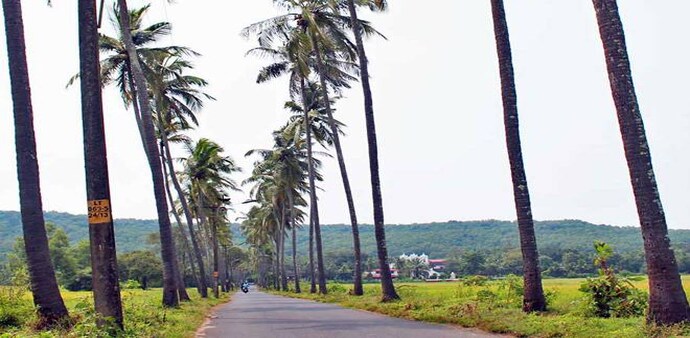 (Image credit: parrapanchayat.com) (Image credit: parrapanchayat.com)