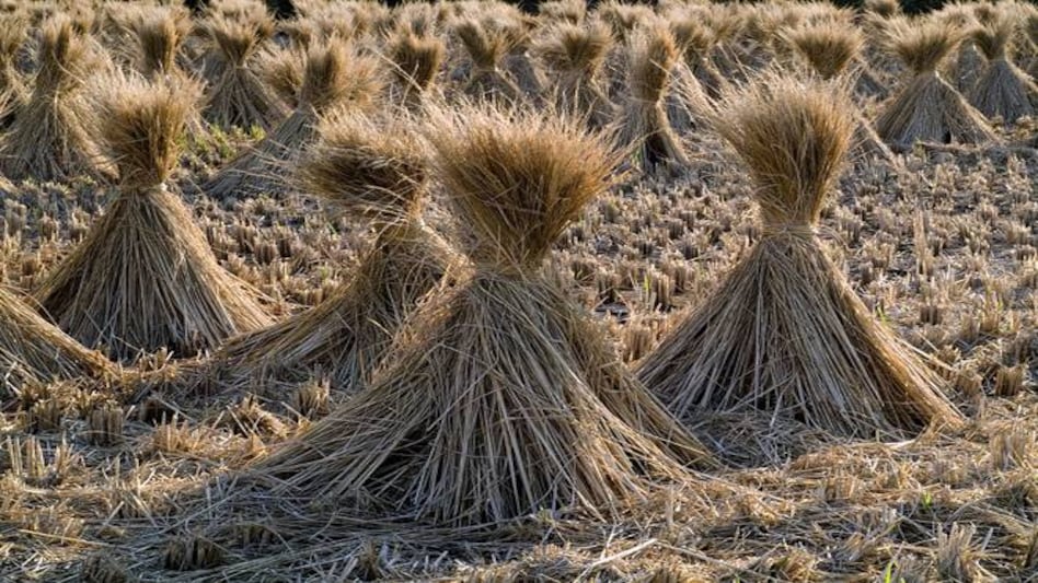 Image used for Representation Image used for Representation