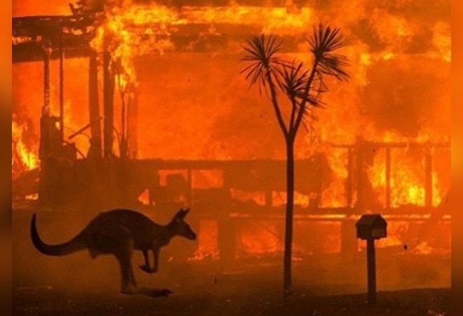 Australia begins damage assessment amid temporary respite from bushfires Australia begins damage assessment amid temporary respite from bushfires