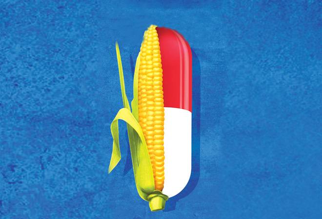 Illustration by Raj Verma Illustration by Raj Verma