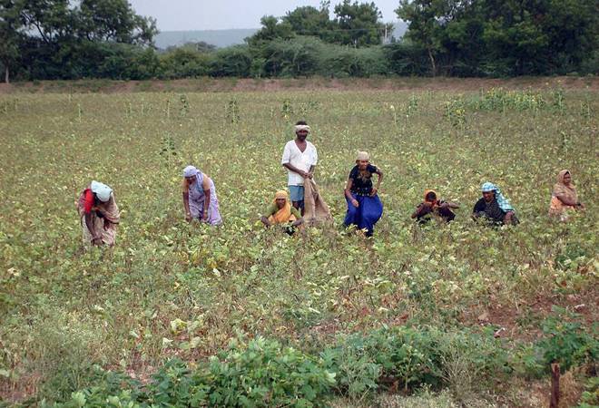 Farmers are expecting reforms out of Budget 2020 Farmers are expecting reforms out of Budget 2020