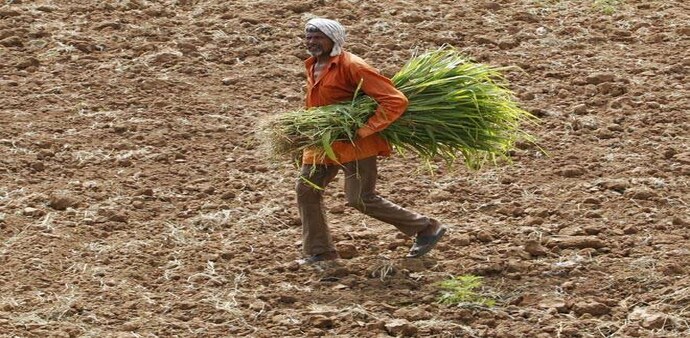 Centre must make important provisions to boost the agriculture sector, which is the backbone of the economy Centre must make important provisions to boost the agriculture sector, which is the backbone of the economy